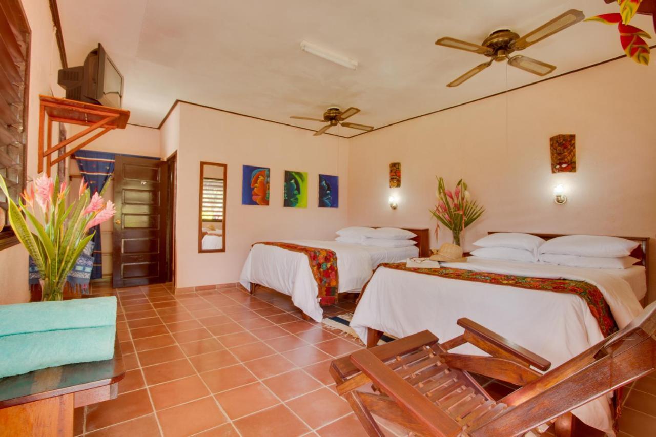 Cassia Hill Resort San Ignacio Extérieur photo